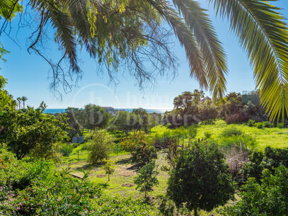Villa Vega – Elegant Andalusisk Villa med Havsutsikt i Vega del Colorado