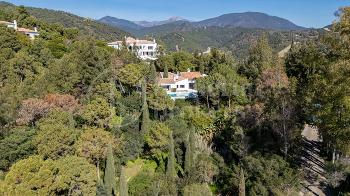 Casa Las Cañas - Andalusian classic villa in Gated Community El Madroñal