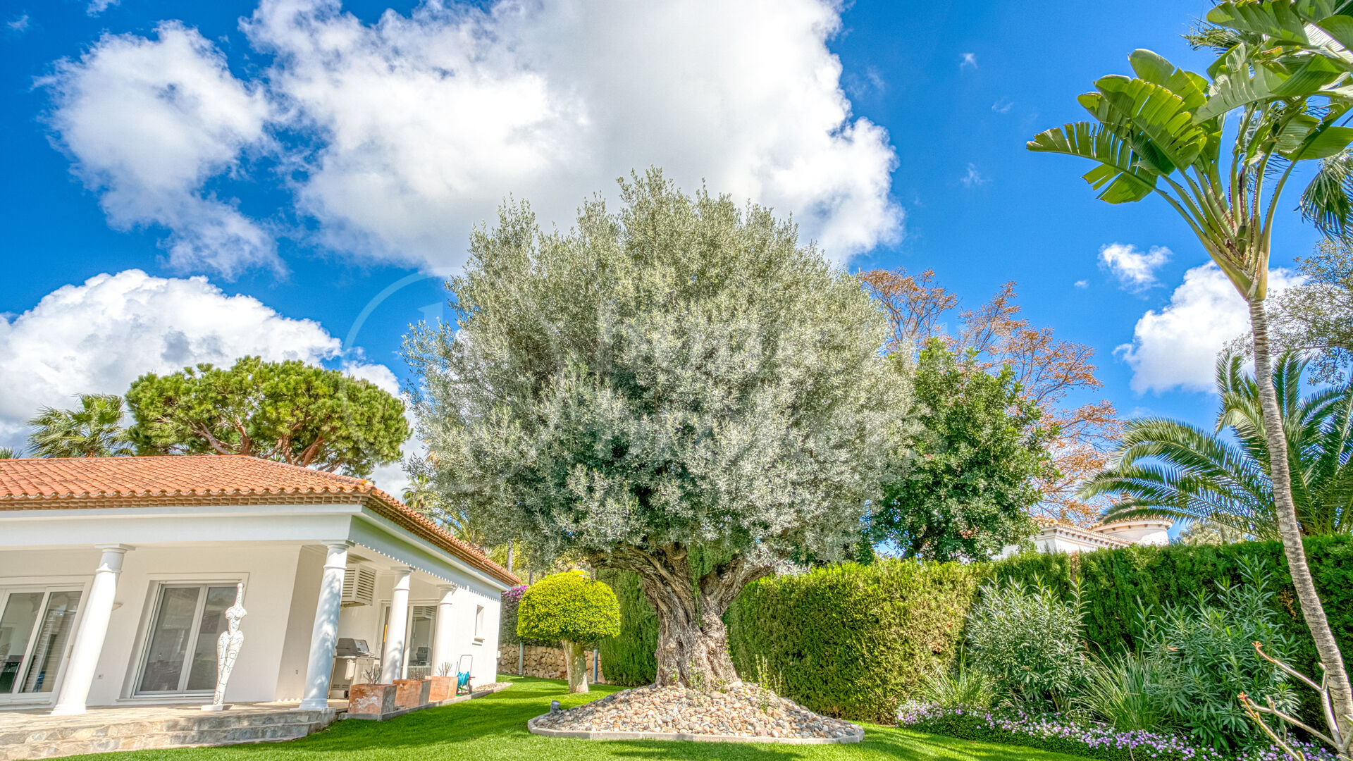 Casa Olivo – Stilren Villa med Självständig Studio i Marbella Öst