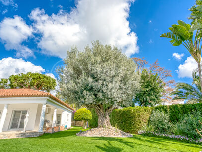 Casa Olivo – Stilren Villa med Självständig Studio i Marbella Öst