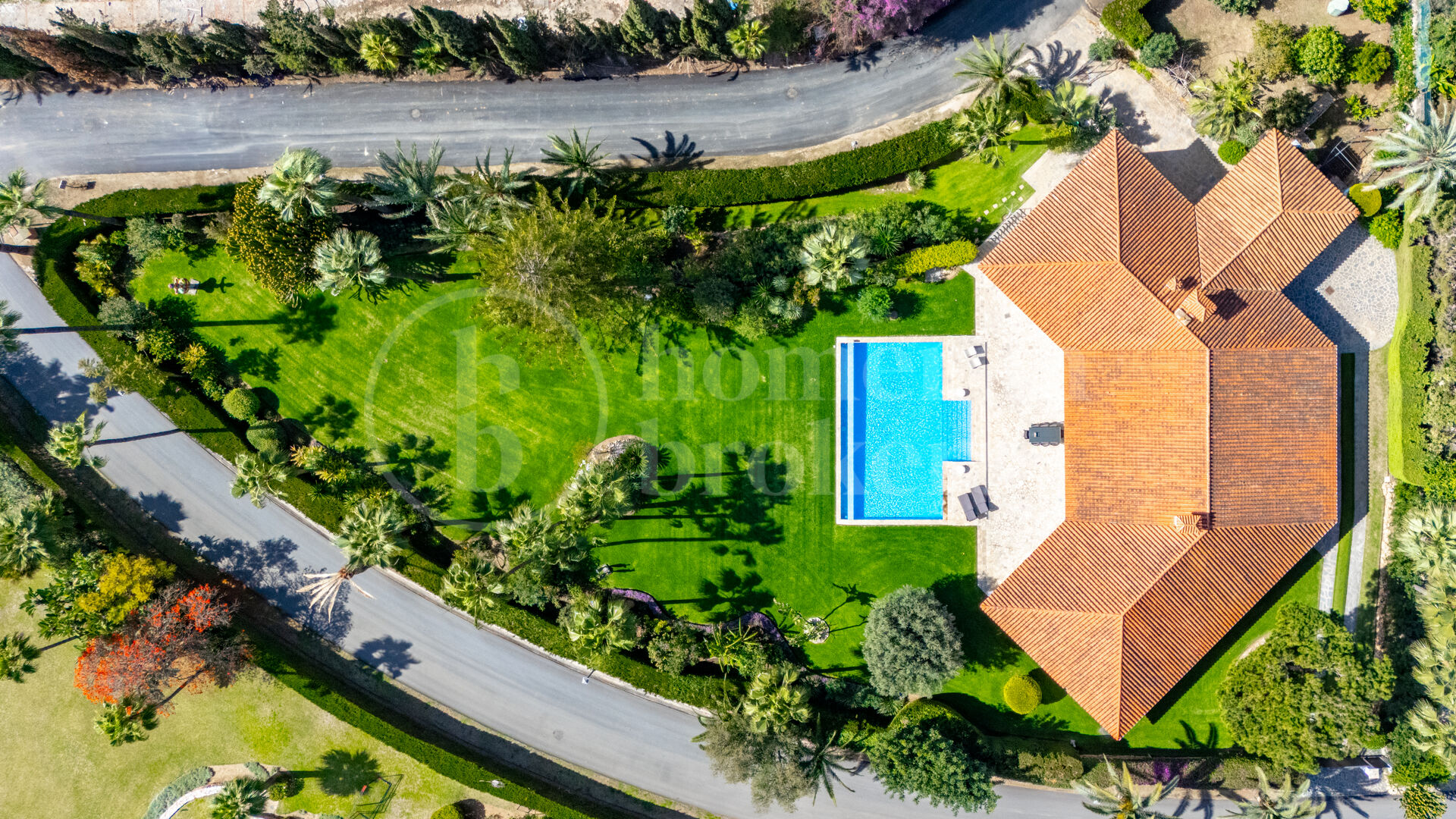 Casa Olivo – Stilren Villa med Självständig Studio i Marbella Öst