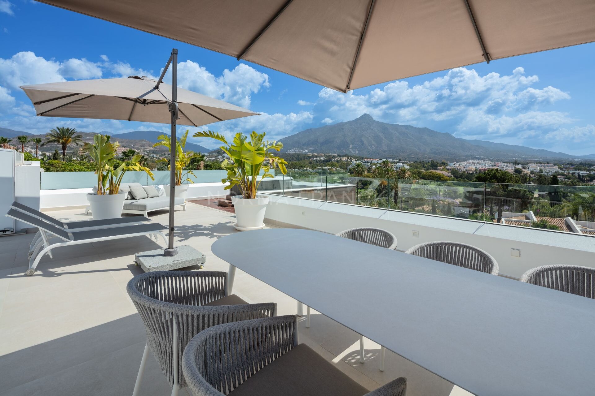 Villa Camellia - contemporary villa nestled in the prestigious Golf Valley of Nueva Andalucía