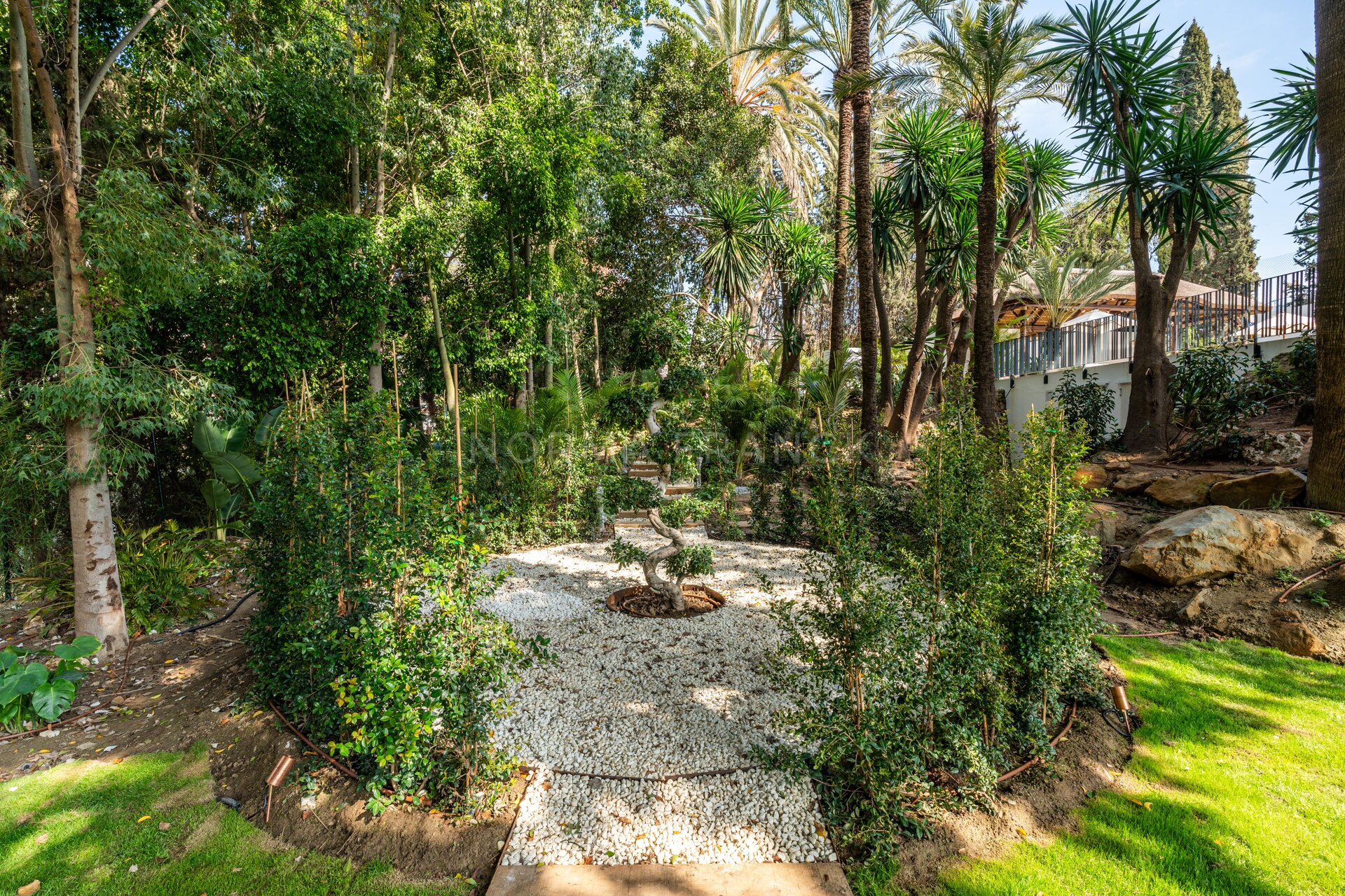 Villa Las Palmeras - Contemporary design with elegant traditional charm