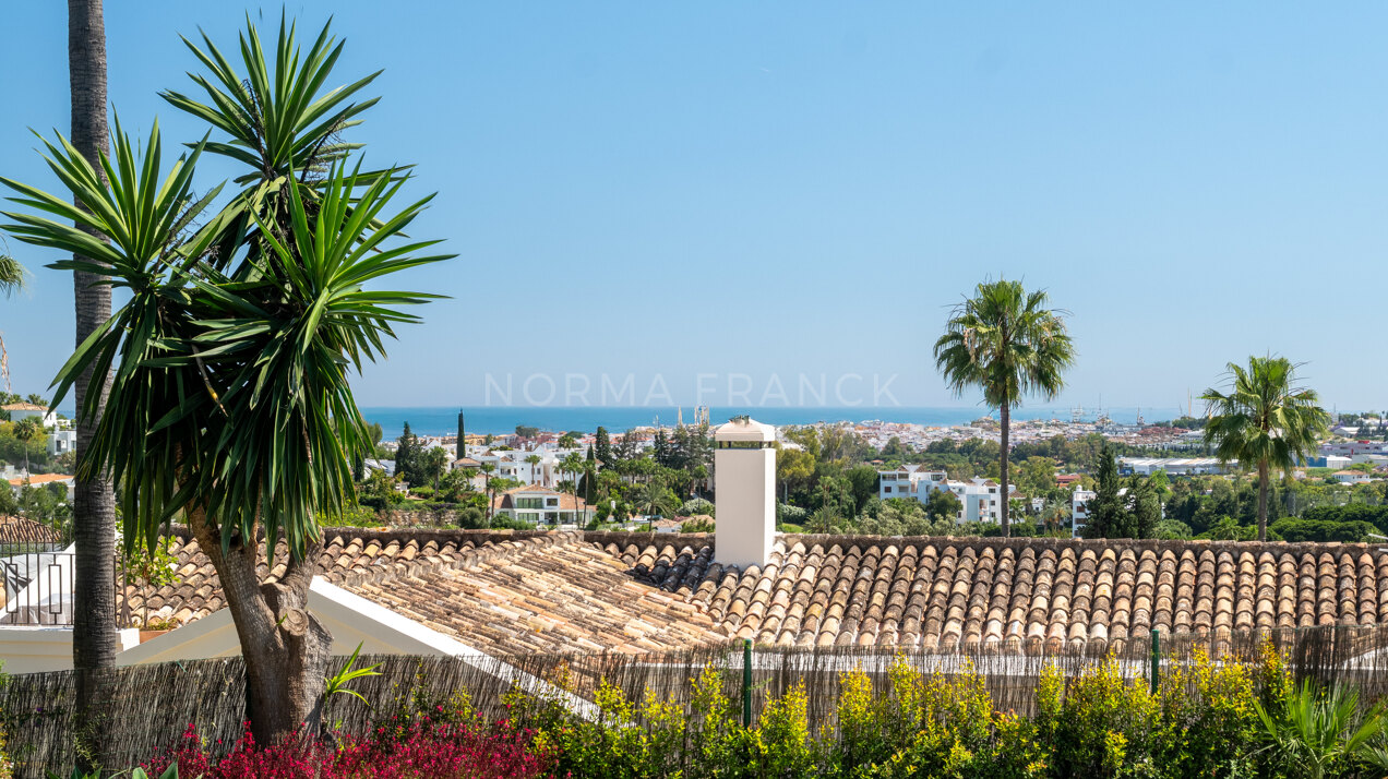 Exceptional villa in Nueva Andalucía