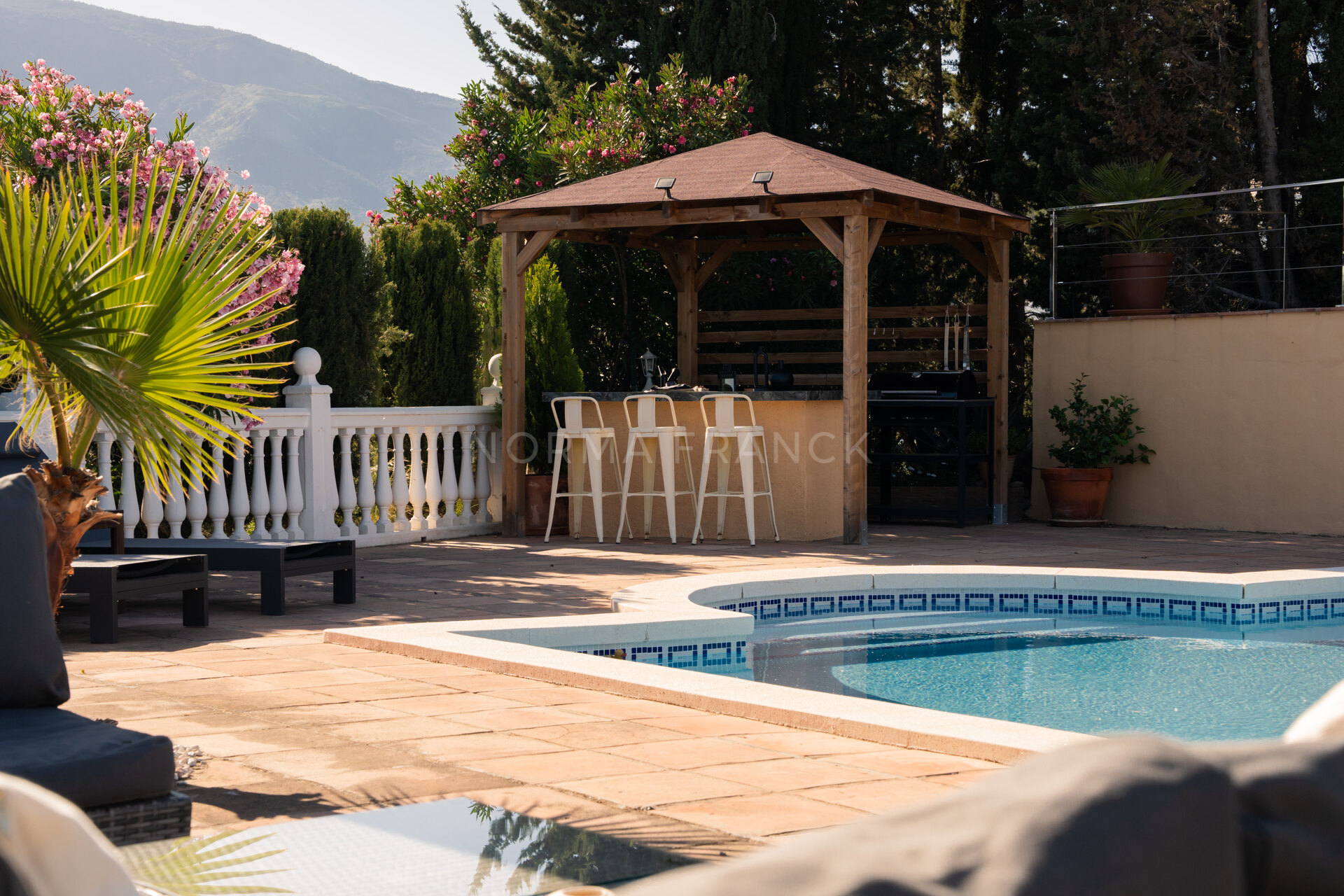 Casa Roble - Countryside villa in El Padron, Estepona East