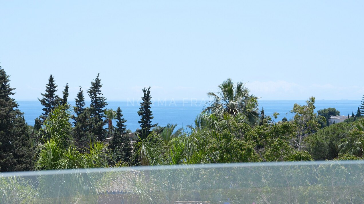 Villa Lomas 2 - The villa offers a beautiful view of both the sea and La Concha