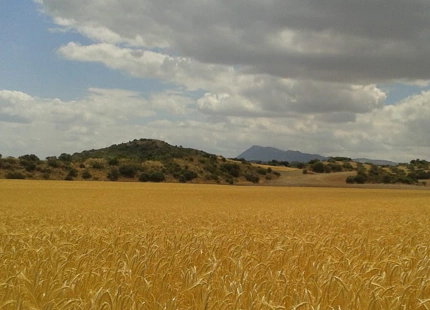 Finca en venta en Antequera