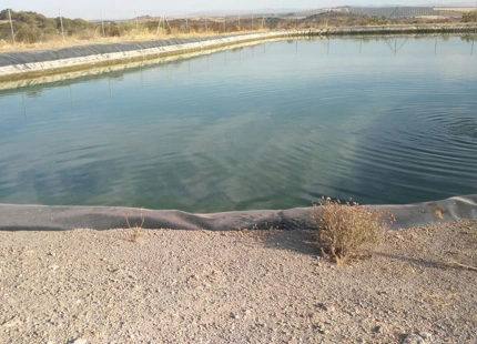 Finca en venta en Antequera