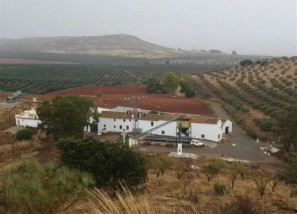 Finca en venta en Antequera