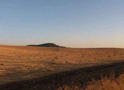 Finca en venta en Antequera