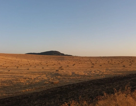 Finca en venta en Antequera