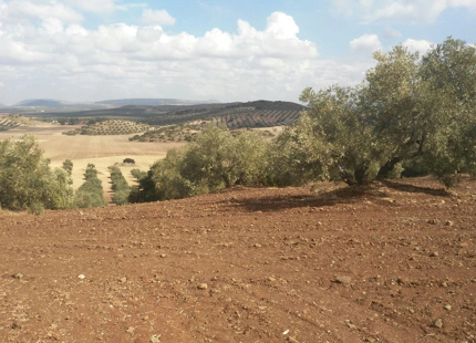 Finca en venta en Antequera