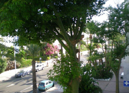 Apartamento en alquiler a corta temporada en Marbella - Puerto Banus