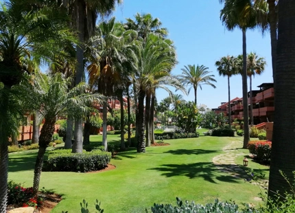 Penthouse for long term rent in Marbella - Puerto Banus