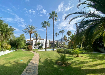 Ground Floor Apartment for long term rent in Nueva Andalucia, Marbella