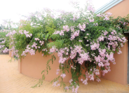 Villa en venta en Estepona