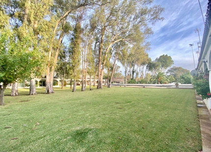 Apartamento Planta Baja en venta en Estepona