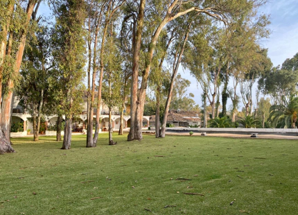 Apartamento Planta Baja en venta en Estepona