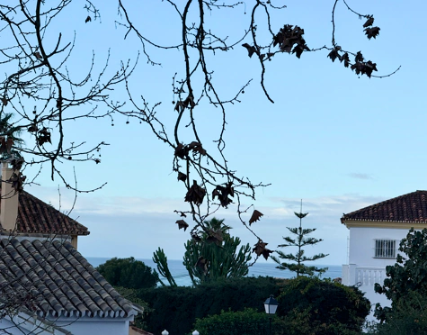 Residential Plot for sale in Rio Real, Marbella Este