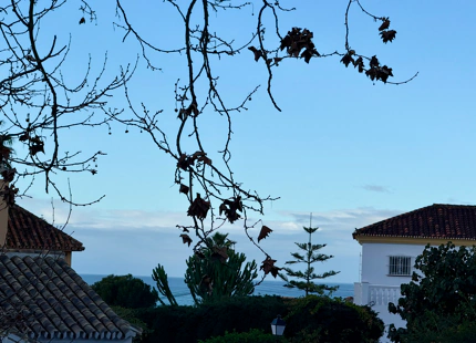 Parcela Residencial en venta en Rio Real, Marbella Este