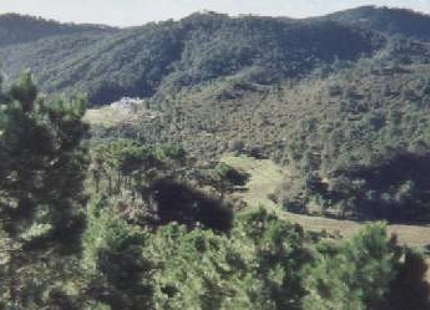 Finca en venta en Estepona
