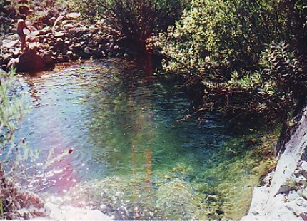 Finca en venta en Estepona