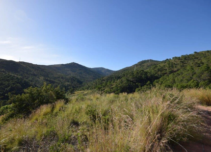 Finca en venta en Estepona