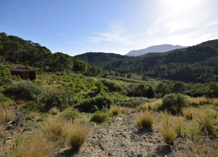 Finca en venta en Estepona
