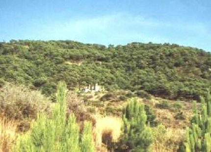 Finca en venta en Estepona