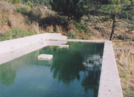 Finca en venta en Estepona