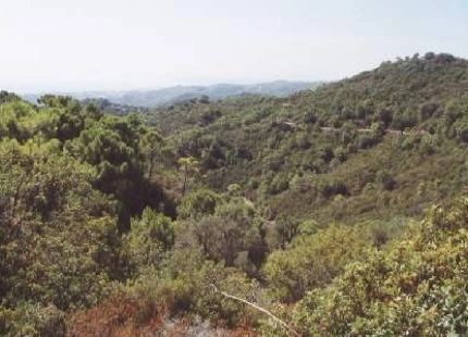 Finca en venta en Estepona