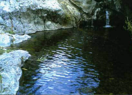 Finca en venta en Estepona