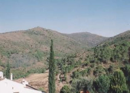 Finca en venta en Estepona
