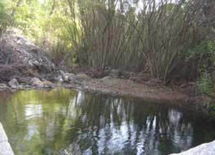 Finca en venta en Estepona