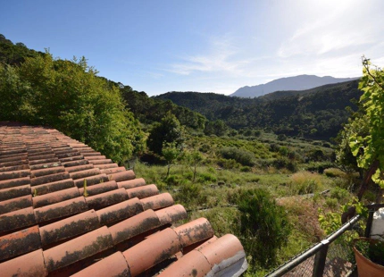 Finca en venta en Estepona