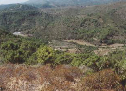 Finca en venta en Estepona