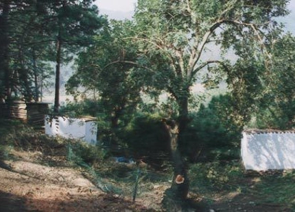 Finca en venta en Estepona