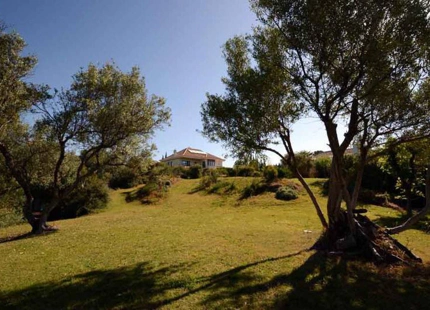 Villa for sale in El Rosario, Marbella East