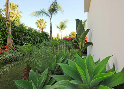 Villa for long term rent in Marbella - Puerto Banus