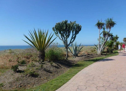 Apartamento en alquiler a corta temporada en Costalita, Estepona Este