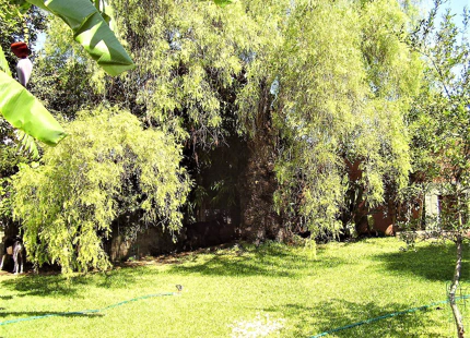 Villa en venta en Guadalmina Alta, San Pedro de Alcantara