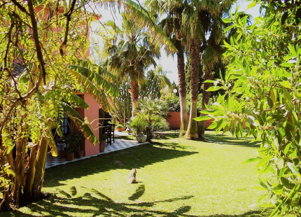 Villa en venta en Guadalmina Alta, San Pedro de Alcantara