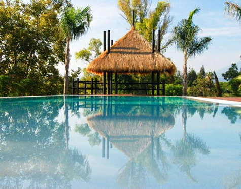 Villa for sale in Guadalmina Baja, San Pedro de Alcantara
