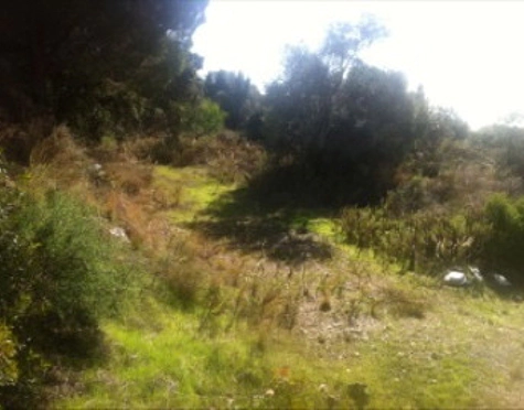 Residential Plot for sale in Elviria, Marbella Este