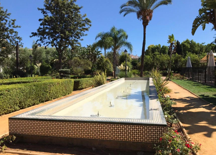 CHARMING APARTMENT FOR RENT IN DAMA DE NOCHE 