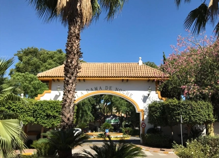 CHARMING APARTMENT FOR RENT IN DAMA DE NOCHE 
