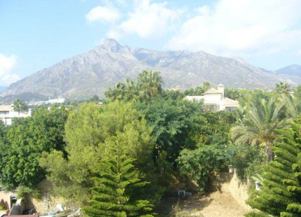 Villa for long term rent in Marbella Golden Mile