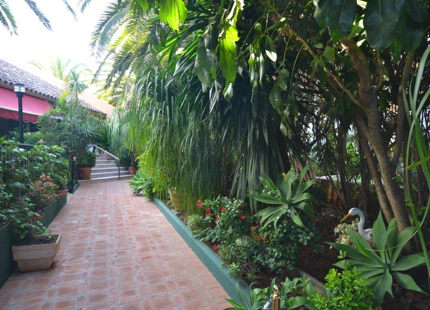 Bar for sale in Benavista, Estepona East
