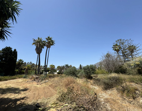 EXPANSIVE PLOT WITH APPROVED LICENSE AND PROJECT IN NUEVA ANDALUCÍA