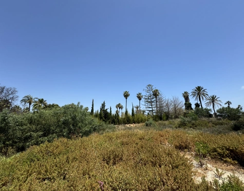 EXPANSIVE PLOT WITH APPROVED LICENSE AND PROJECT IN NUEVA ANDALUCÍA